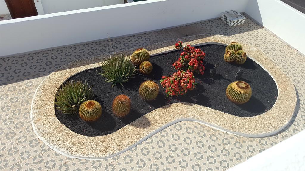 Panelo Cactus Apartment Puerto del Carmen  Exterior foto